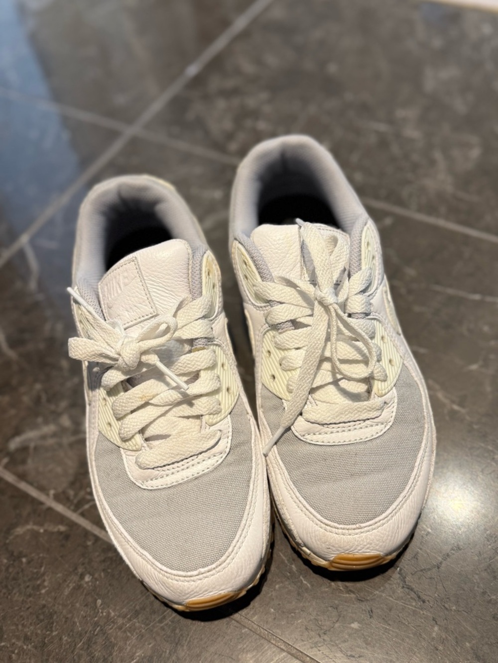 Nike Air Max Shoes